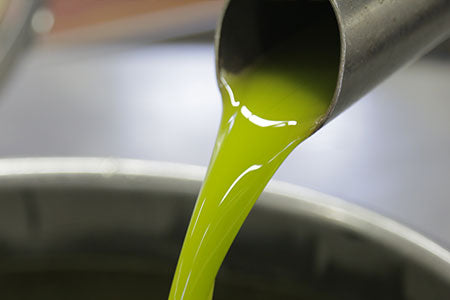 Gefiltertes , hellgrünes Olivenöl fließt aus einem Rohr, nachdem es gefiltert wurde. 